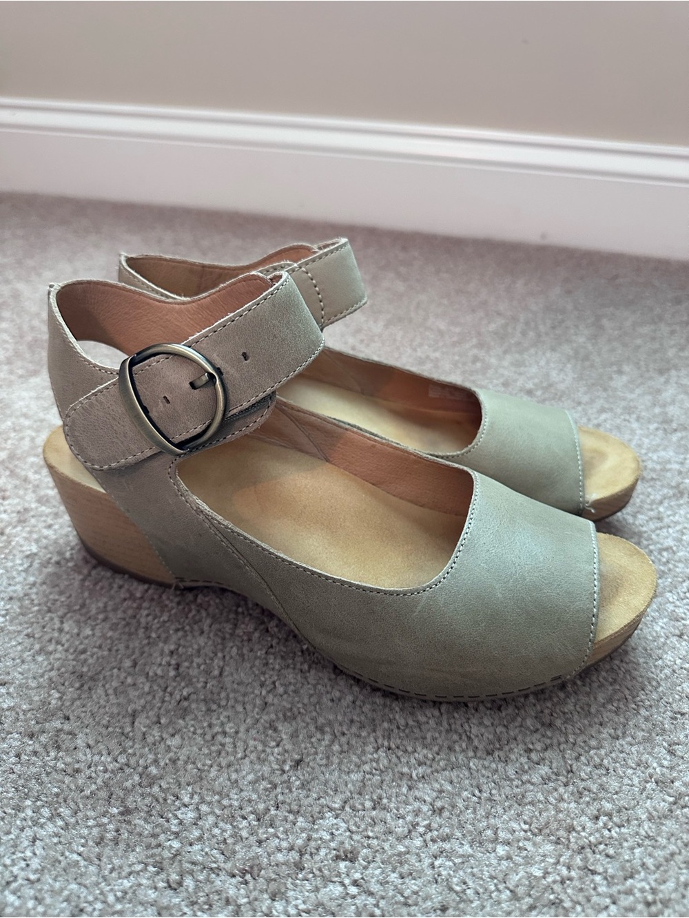 Dansko Size 40/10 Shoes